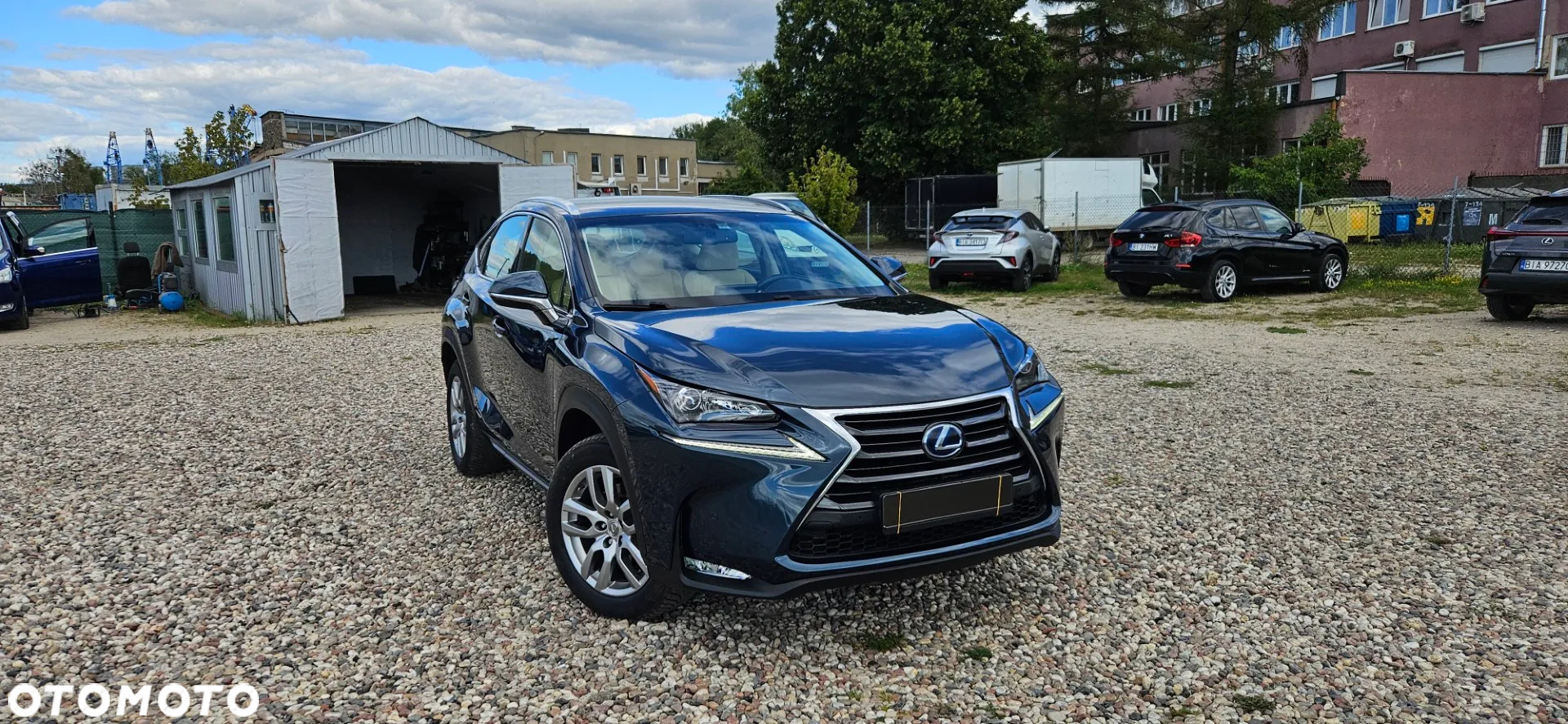 Lexus NX 300h Business Edition AWD - 7