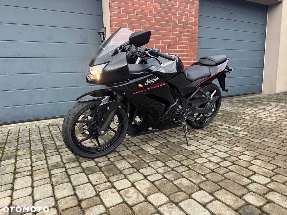 Kawasaki Ninja 250R - 12