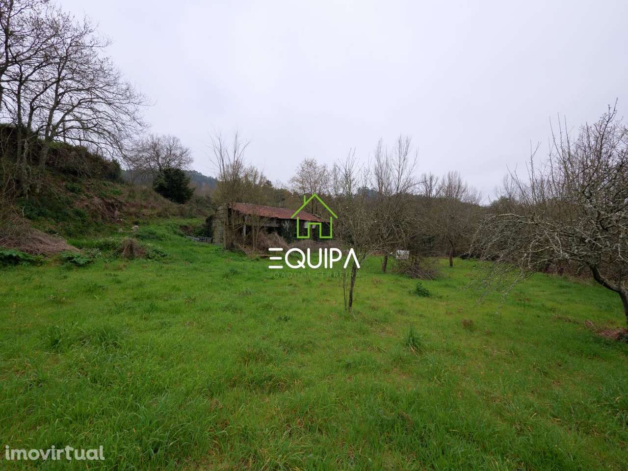 Quinta em Polvoreira - com mais de 3hectares - Grande imagem: 5/15