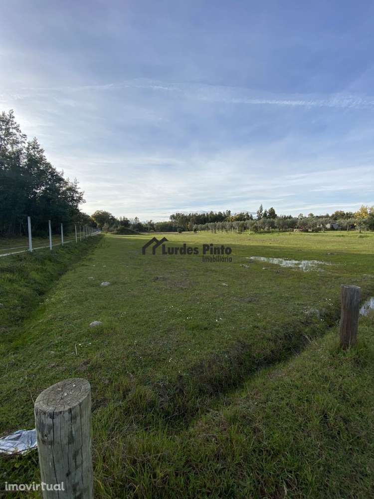 Quinta com arrecadação - Grande imagem: 3/11