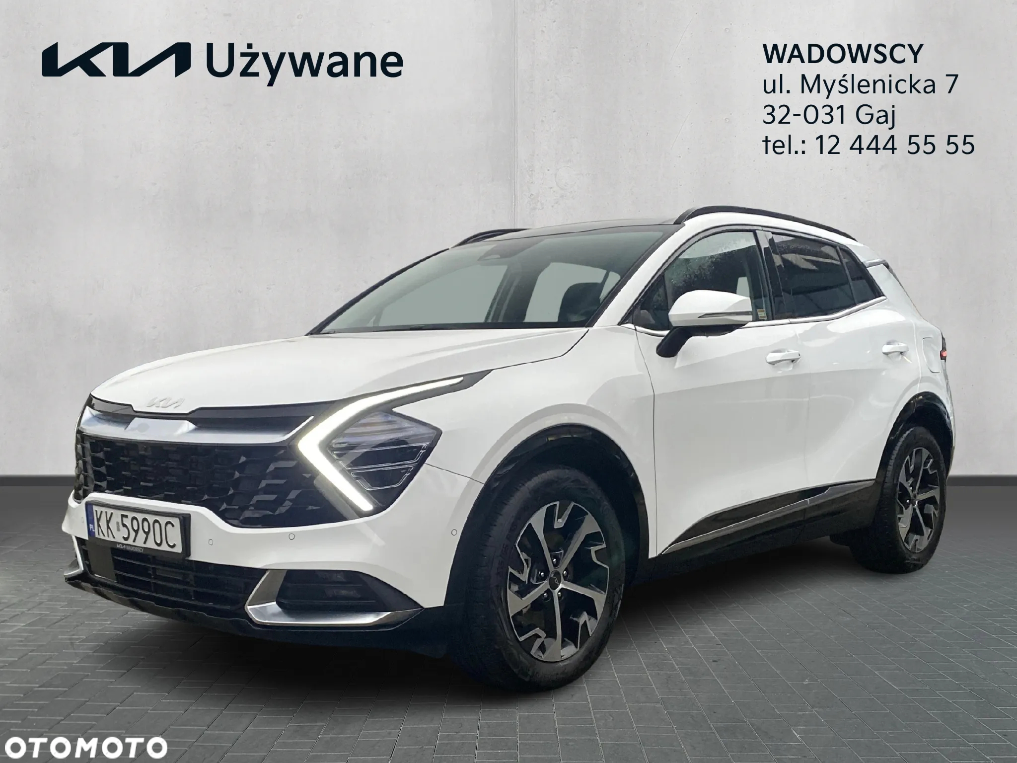Kia Sportage 1.6 T-GDI HEV Business Line 4WD - 2