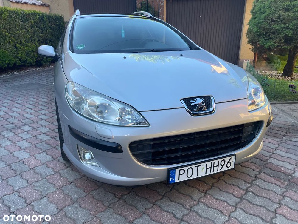 Peugeot 407 - 8