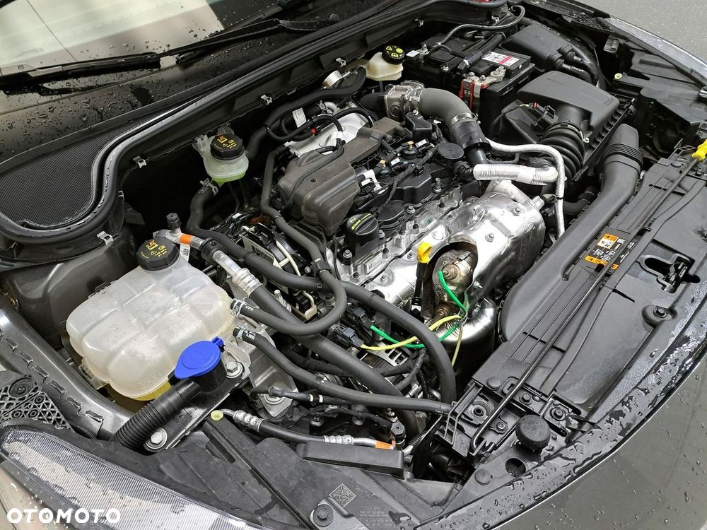 Ford Focus - 14
