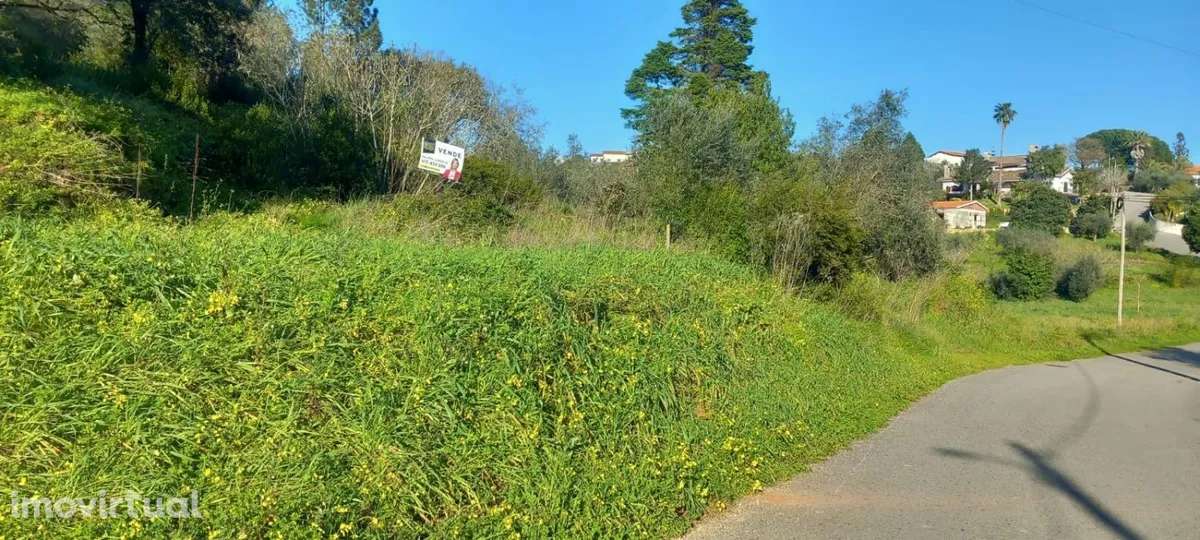 Lote de terreno para moradia - Grande imagem: 3/3