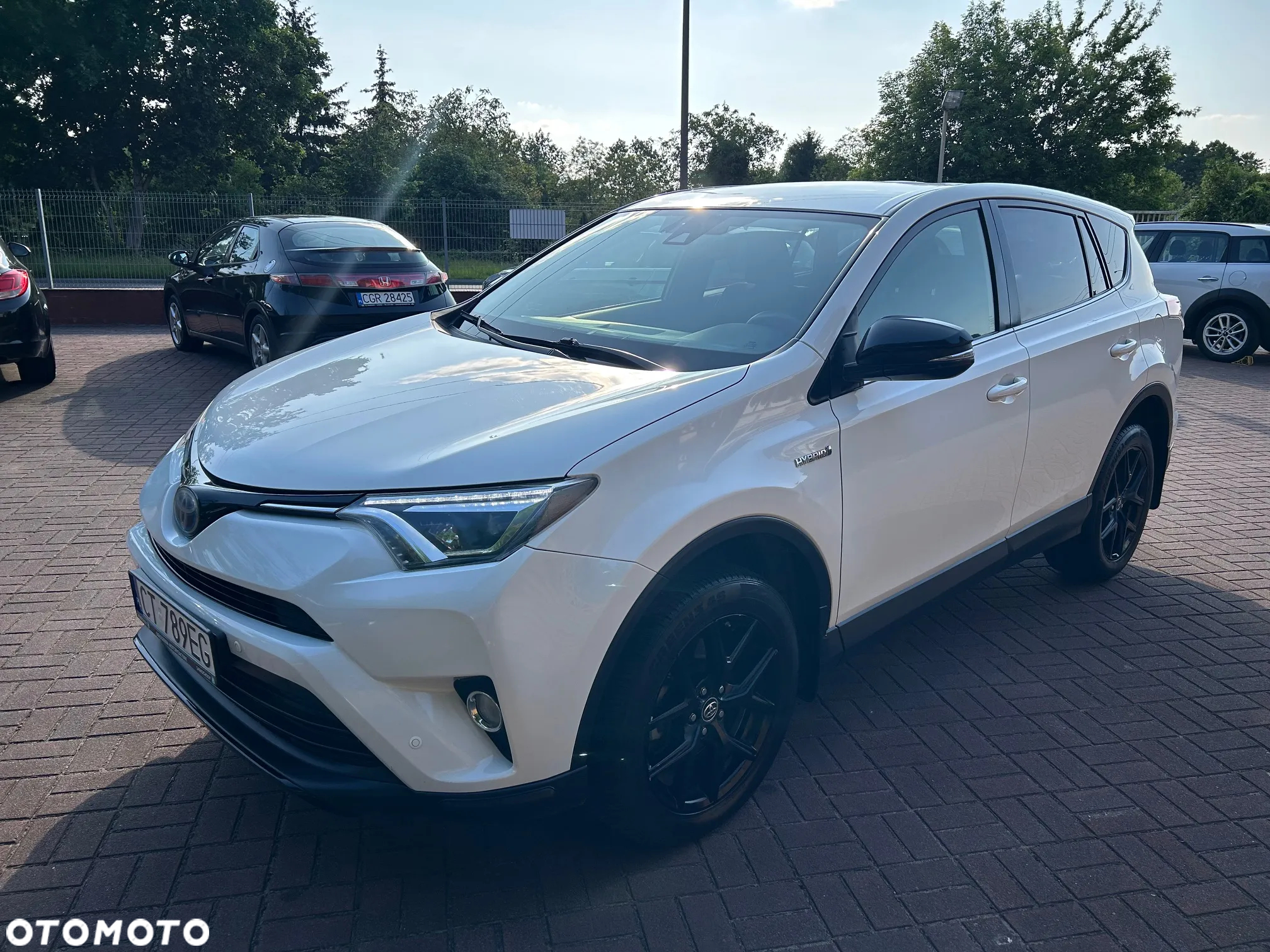 Toyota RAV4 Hybrid Premium 4x2 - 8