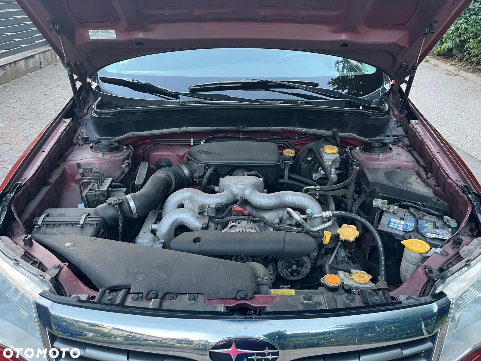 Subaru Forester - 6