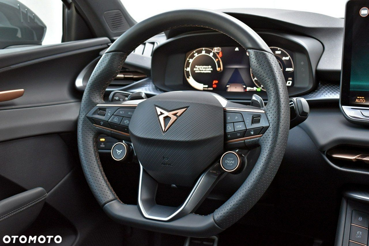 Cupra Terramar - 20
