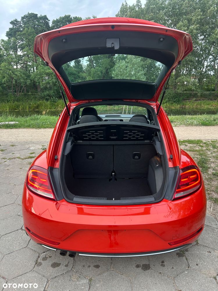 Volkswagen Beetle - 16