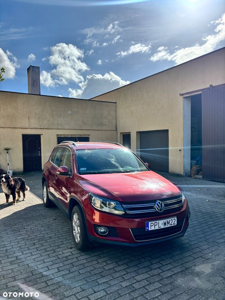 Volkswagen Tiguan - 1