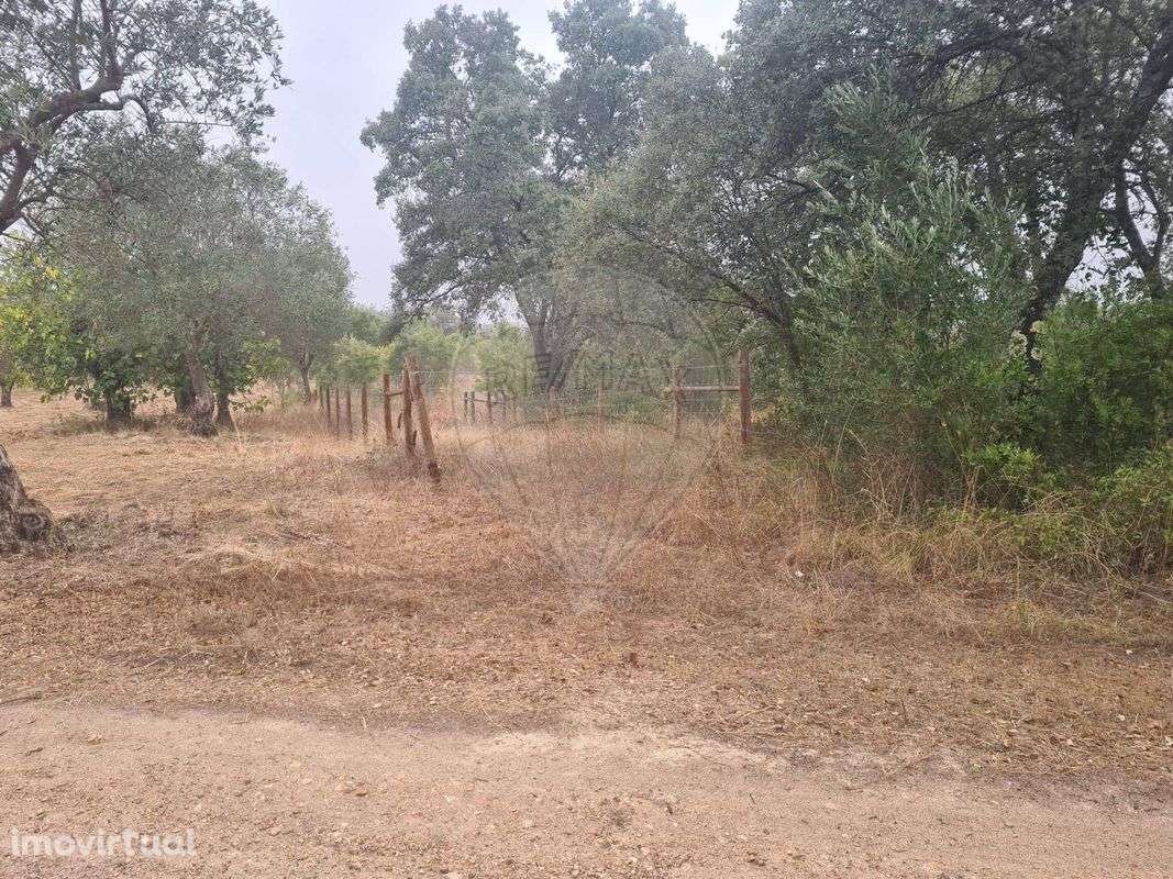 Terreno  para venda - Grande imagem: 2/22