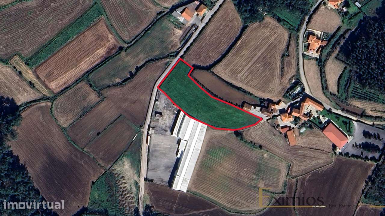 Terreno com 6500m2, em Barcelos - Grande imagem: 4/4