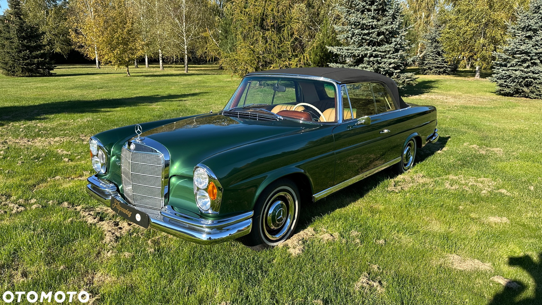 Mercedes-Benz Inny - 19