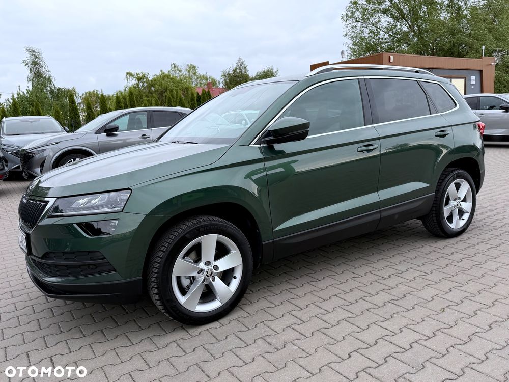 Skoda Karoq - 31