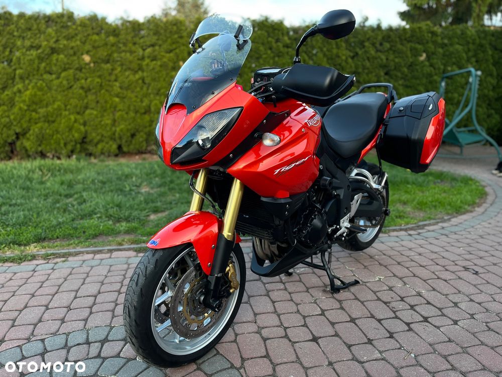 Triumph Tiger - 7