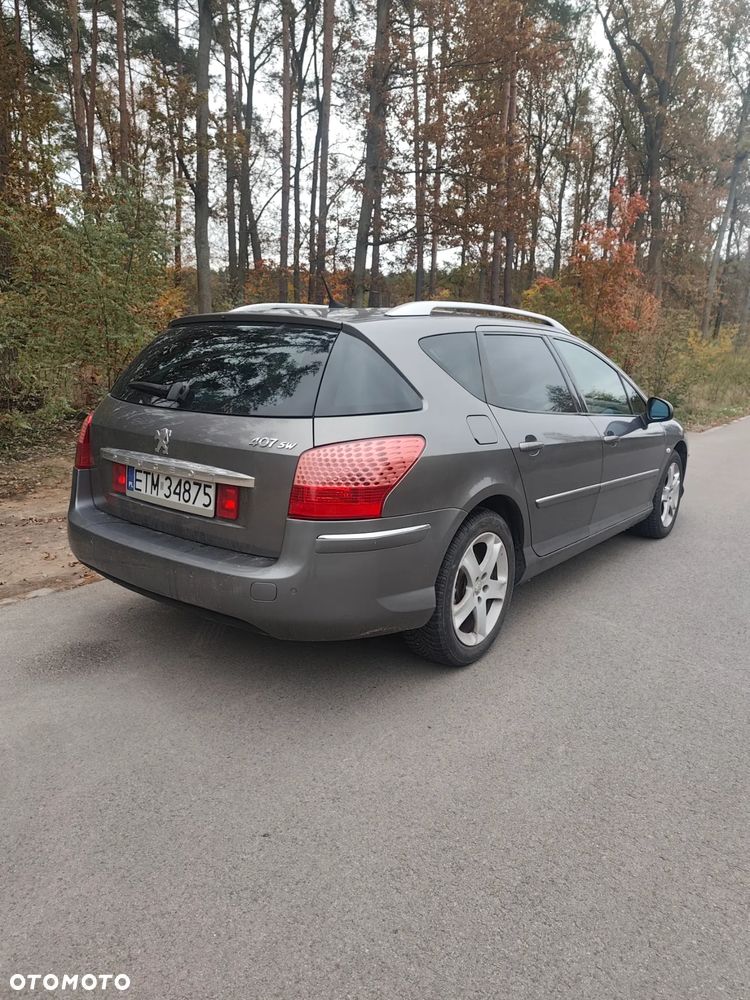 Peugeot 407 - 5