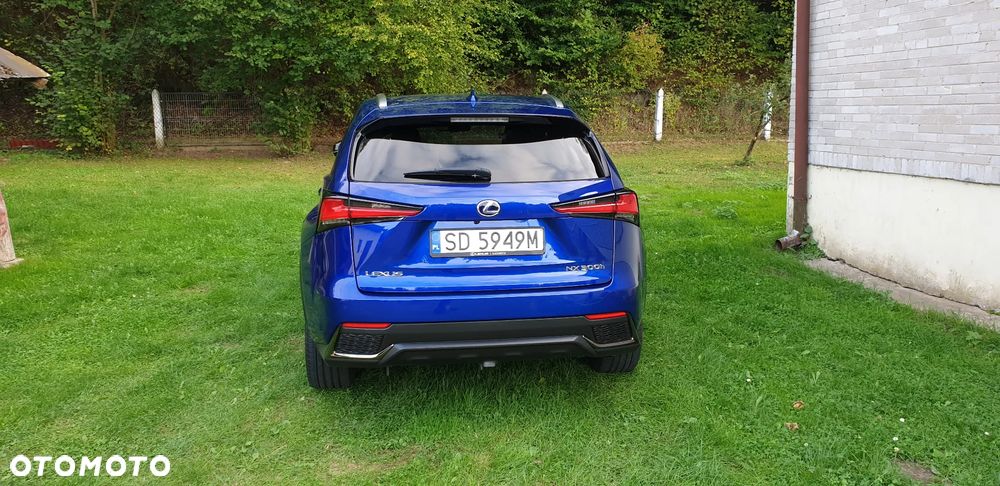 Lexus NX 300h F Sport AWD - 6