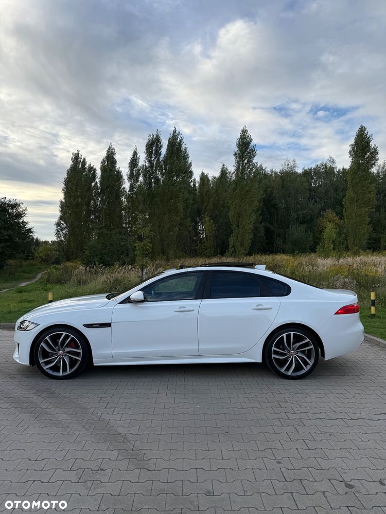Jaguar XF 3.0 V6 AWD Pure - 2