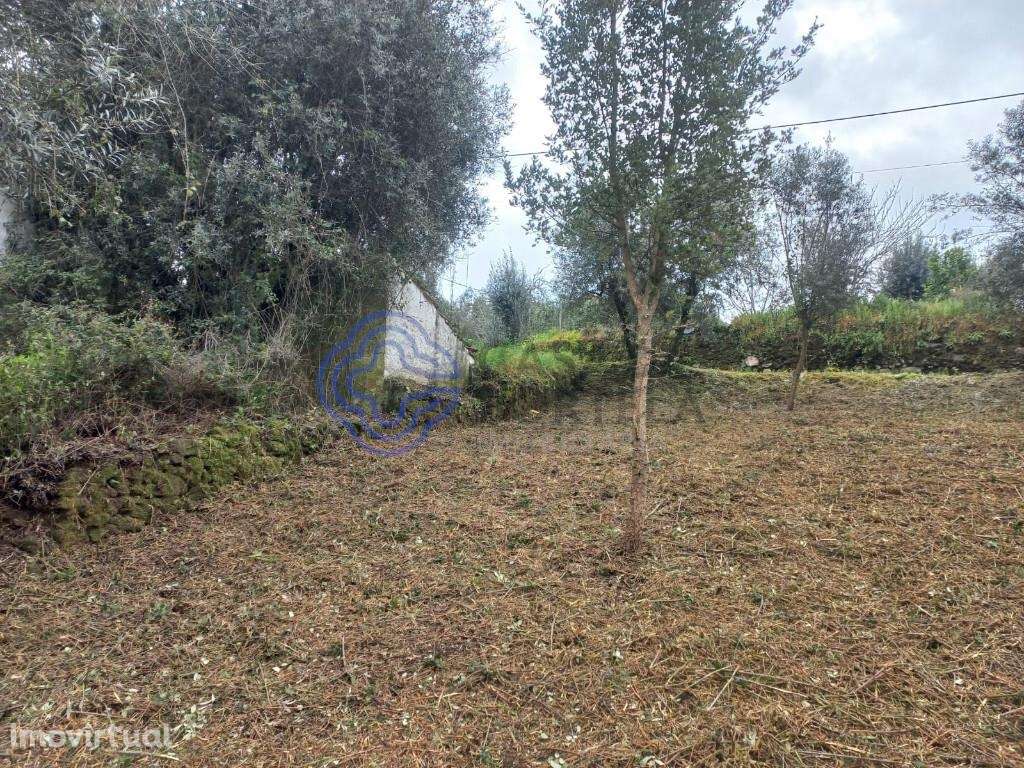 Terreno com possibilidade de construção com 600 m2 a 15 minutos de Tom - Grande imagem: 5/21