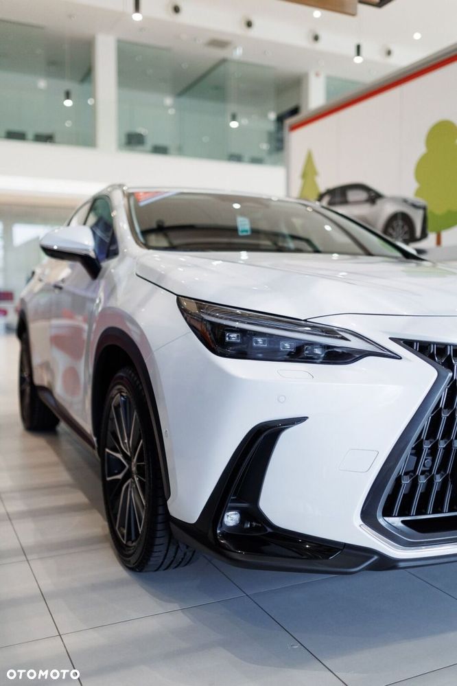 Lexus NX - 14