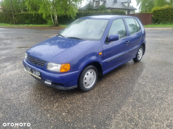 Volkswagen Polo 50