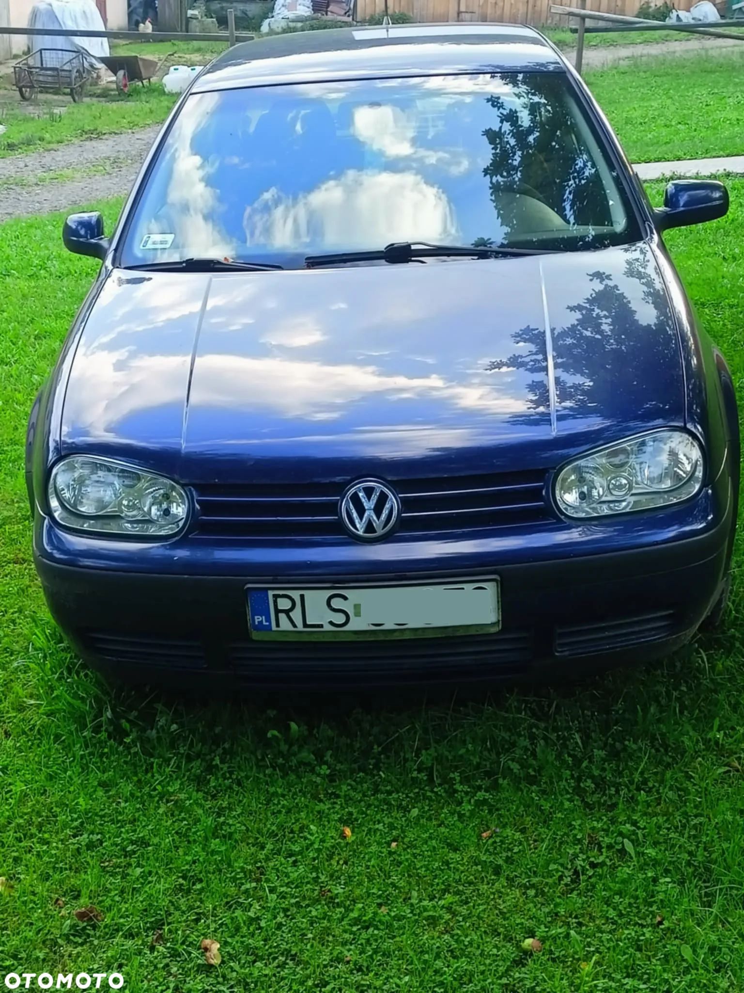 Volkswagen Golf IV 1.4 16V Trendline - 1