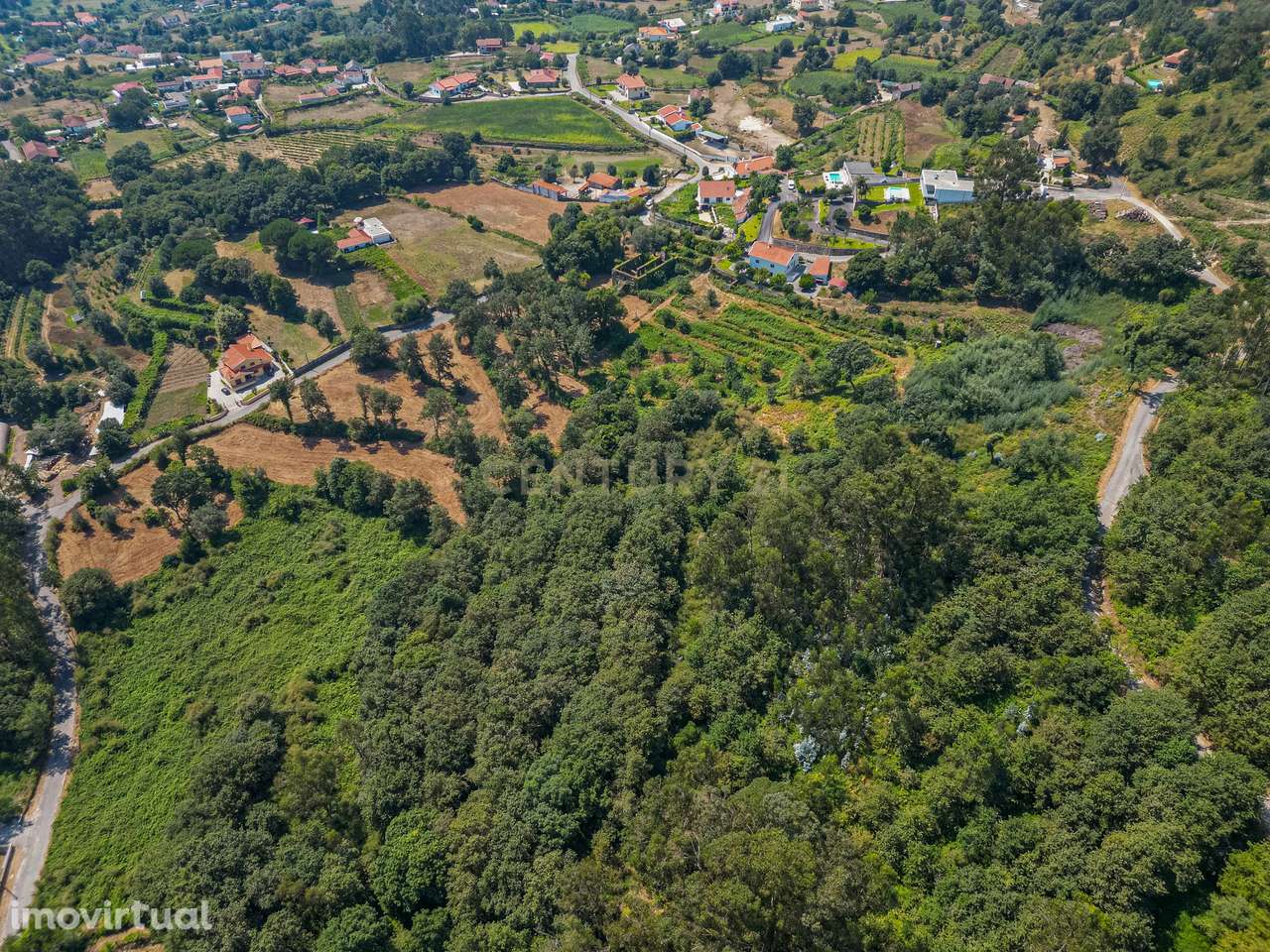 lagar em Ruínas com Vista Panorâmica em Anais, Ponte de Lima - Grande imagem: 4/4