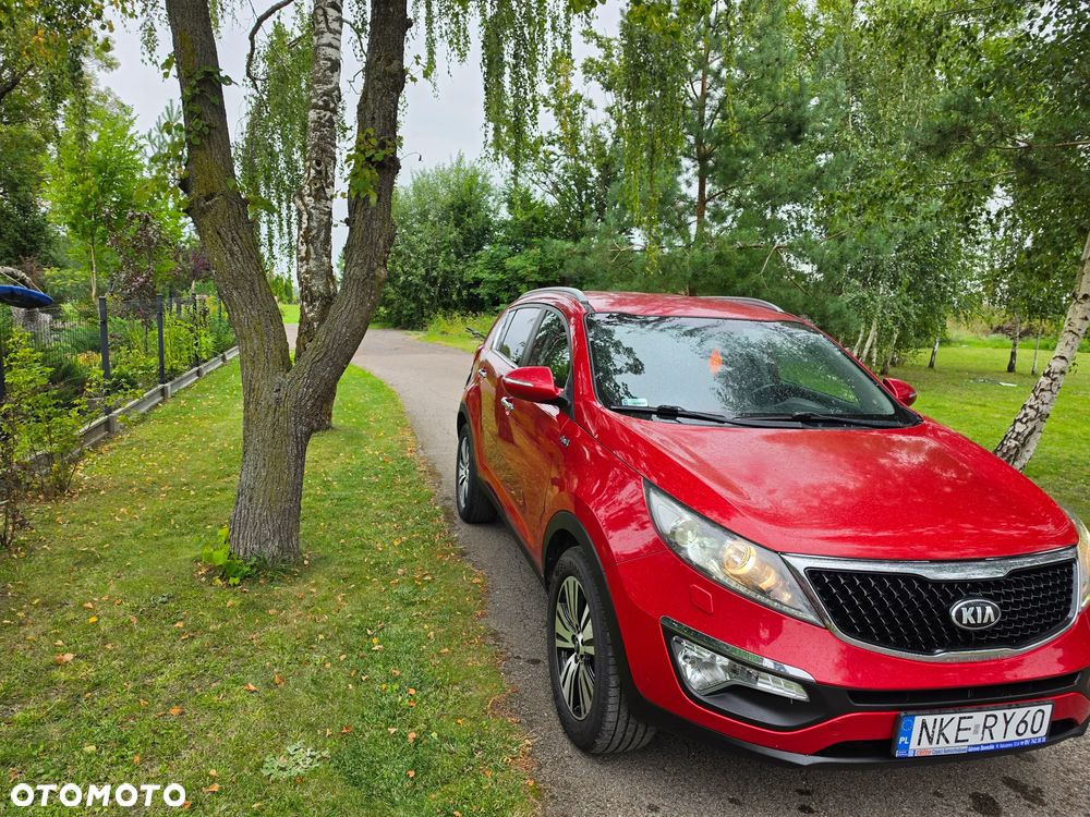 Kia Sportage - 5