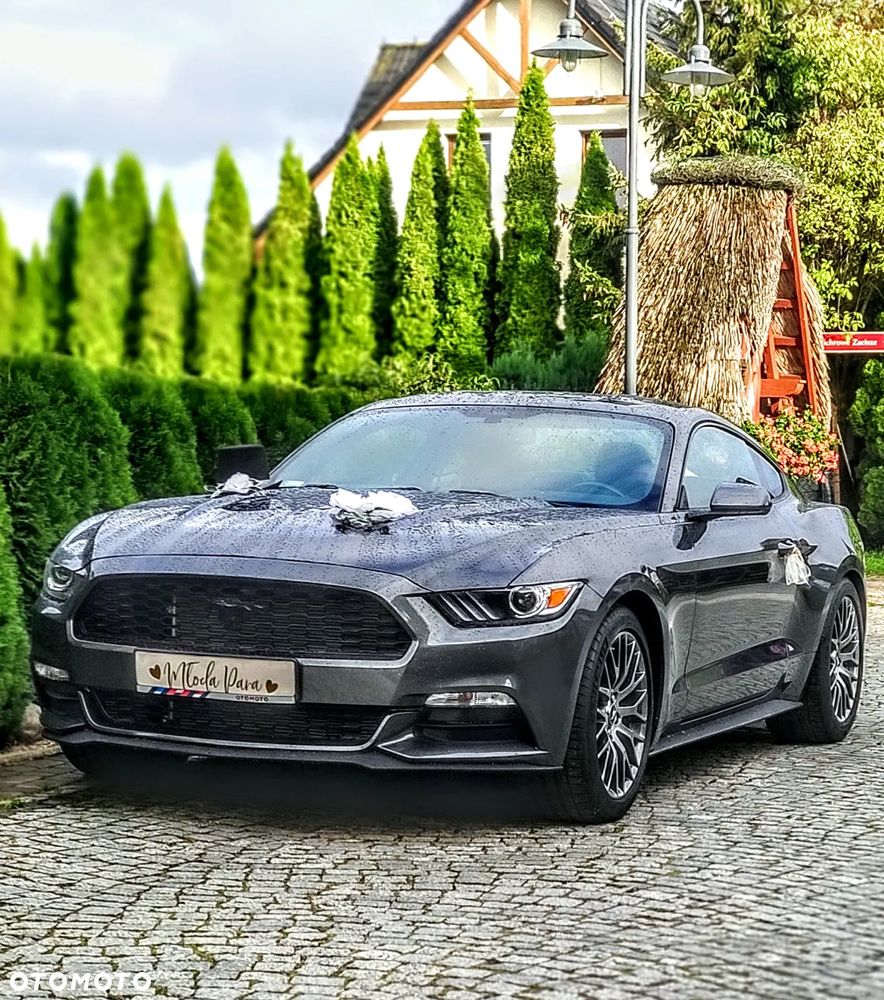 Ford Mustang 3.7 V6 - 1