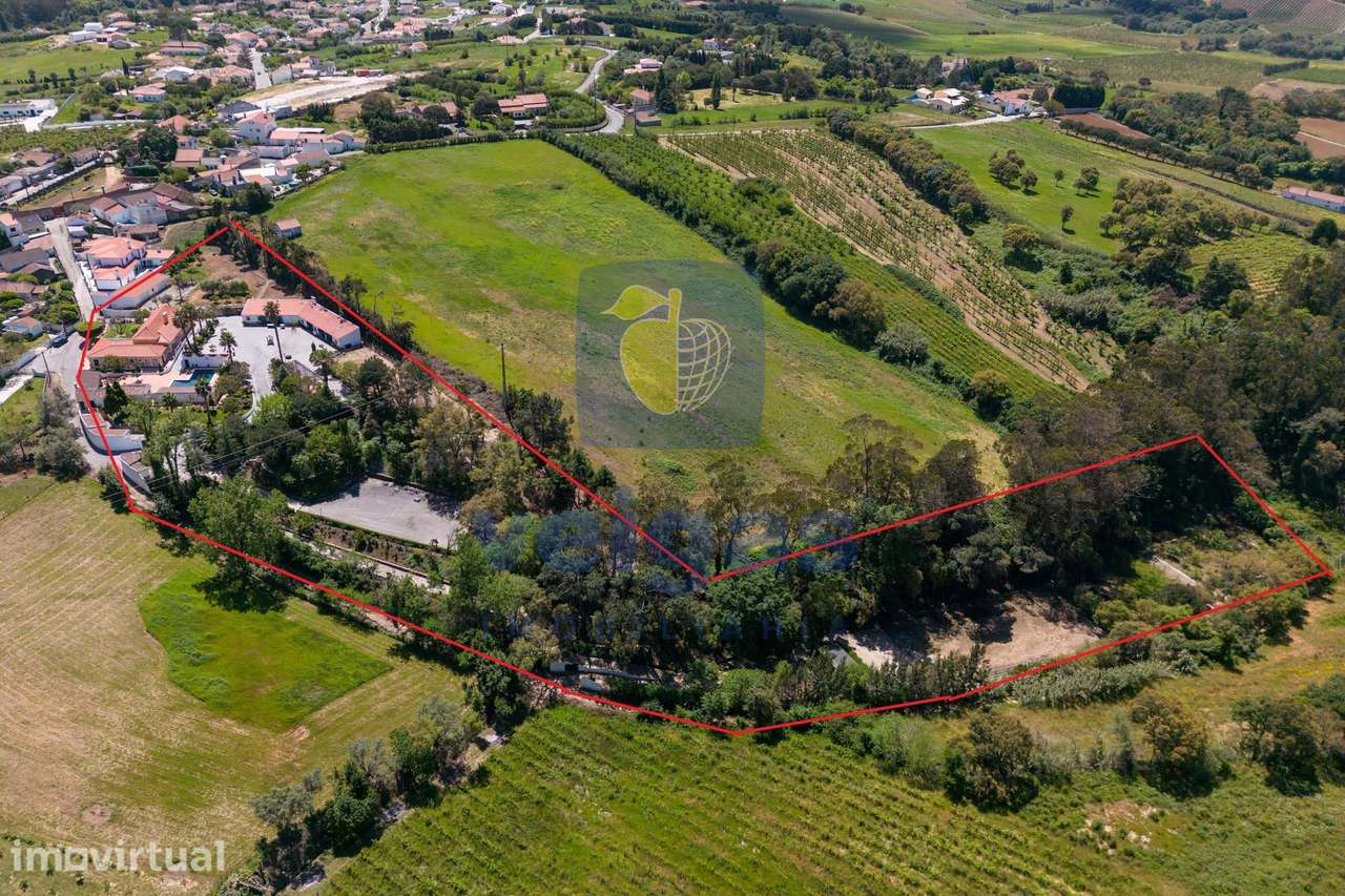 Quinta com 14.920m2 de terreno, 860m2 de área construída, 2 picadeiros - Grande imagem: 2/60