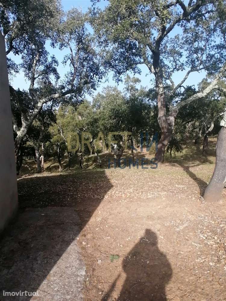 Terreno Rústico  Venda em Melides,Grândola - Grande imagem: 4/31