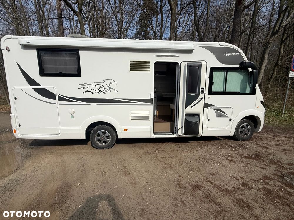 McLOUIS Yearling i61g - 9