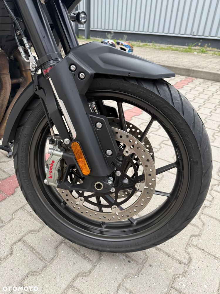 Triumph Tiger - 9