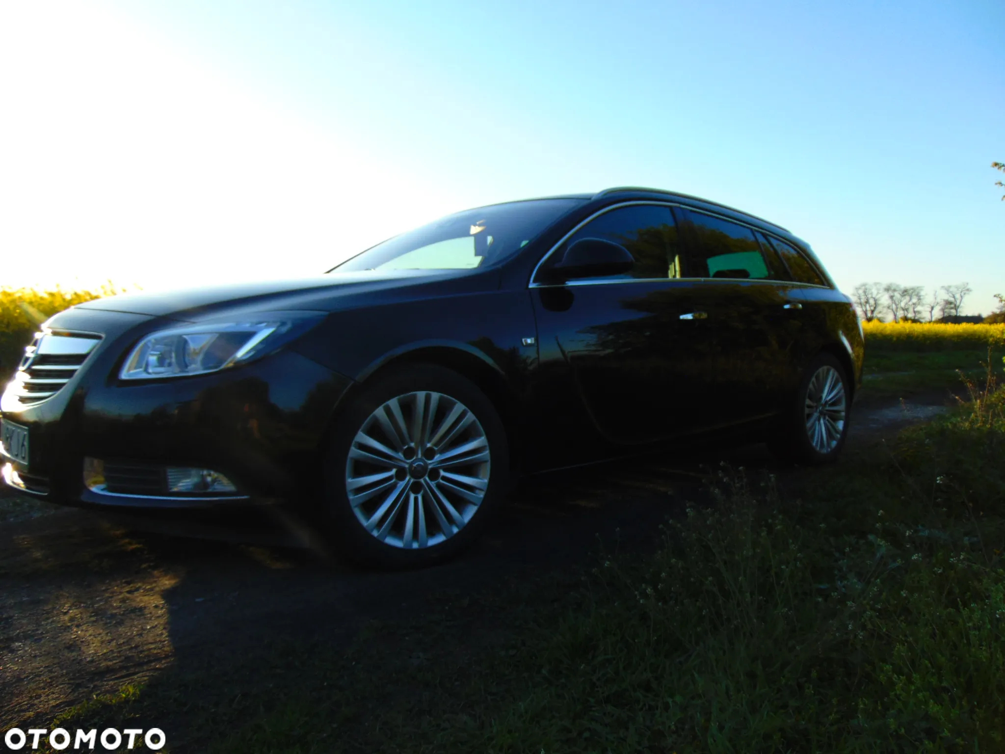 Opel Insignia 2.0 CDTI Sports Tourer ecoFLEX Cosmo - 3