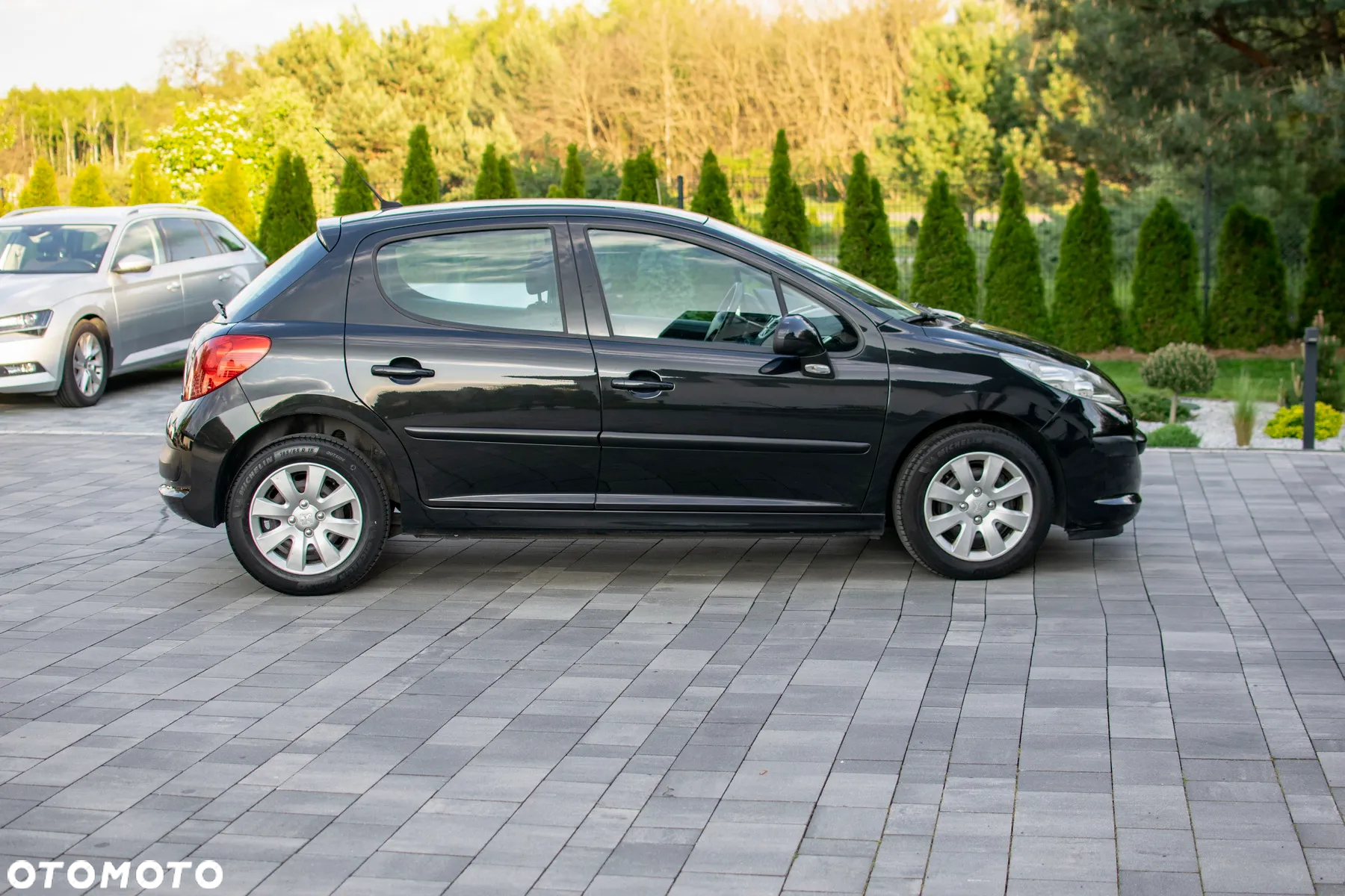 Peugeot 207 - 22