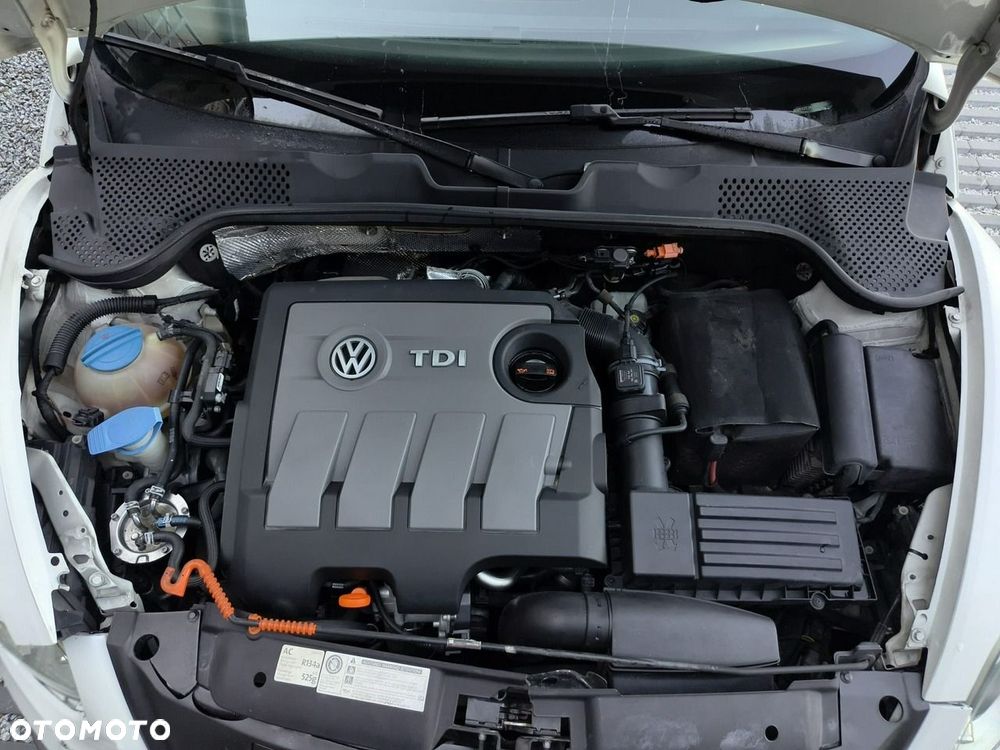 Volkswagen New Beetle - 24