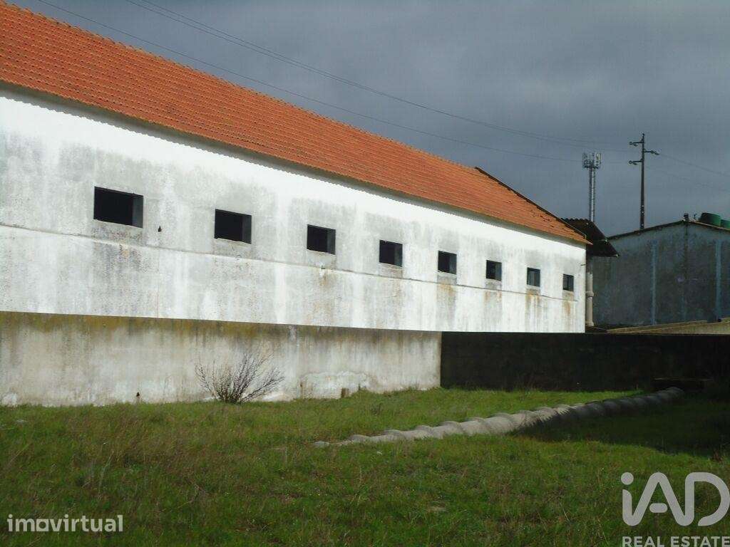 Terreno industrial em Quinta do Anjo - Grande imagem: 2/7