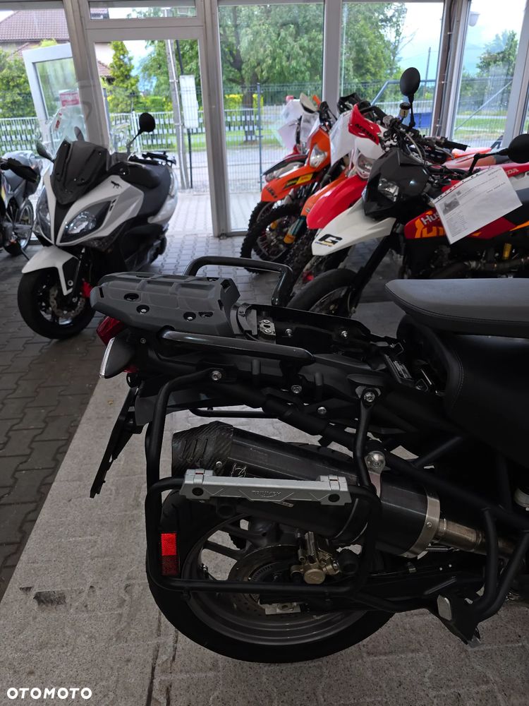 Triumph Tiger - 31