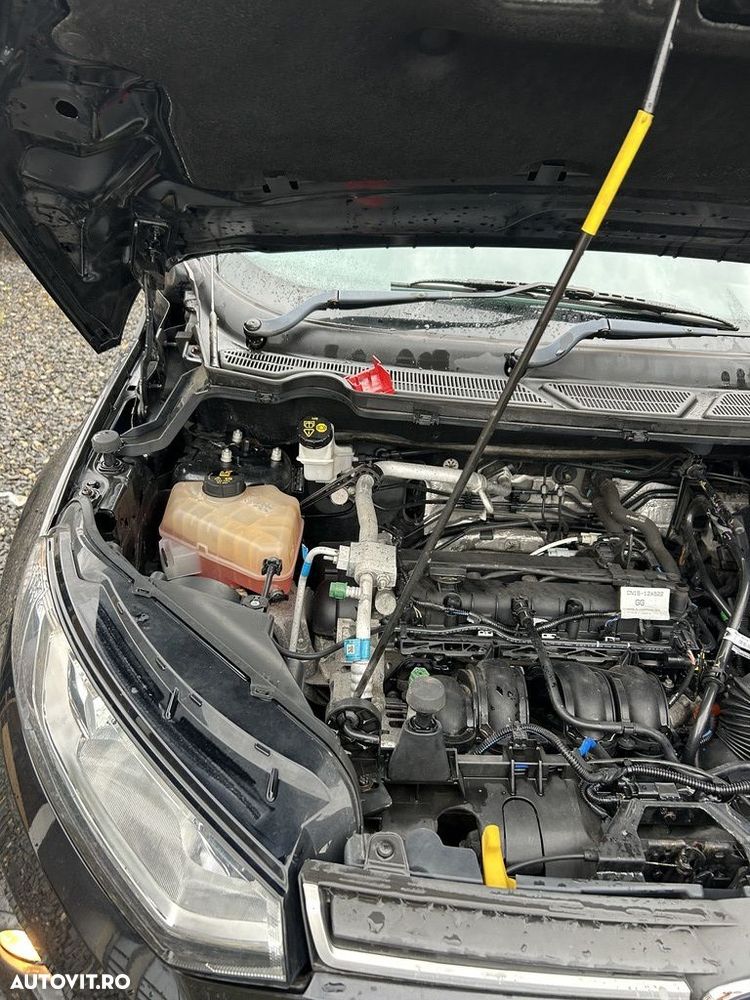 Usa Dreapta Spate Ford EcoSport II 2013 - 2017 SUV 4 Usi negru (1342) - 8