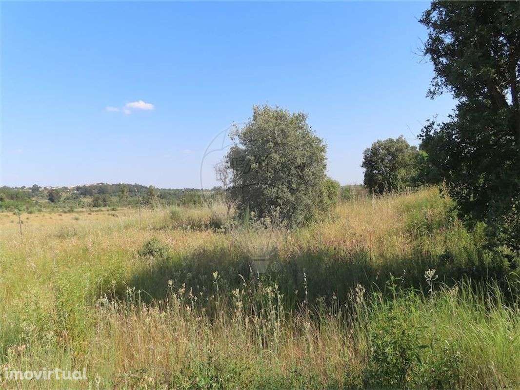 Quinta  para venda - Grande imagem: 2/13