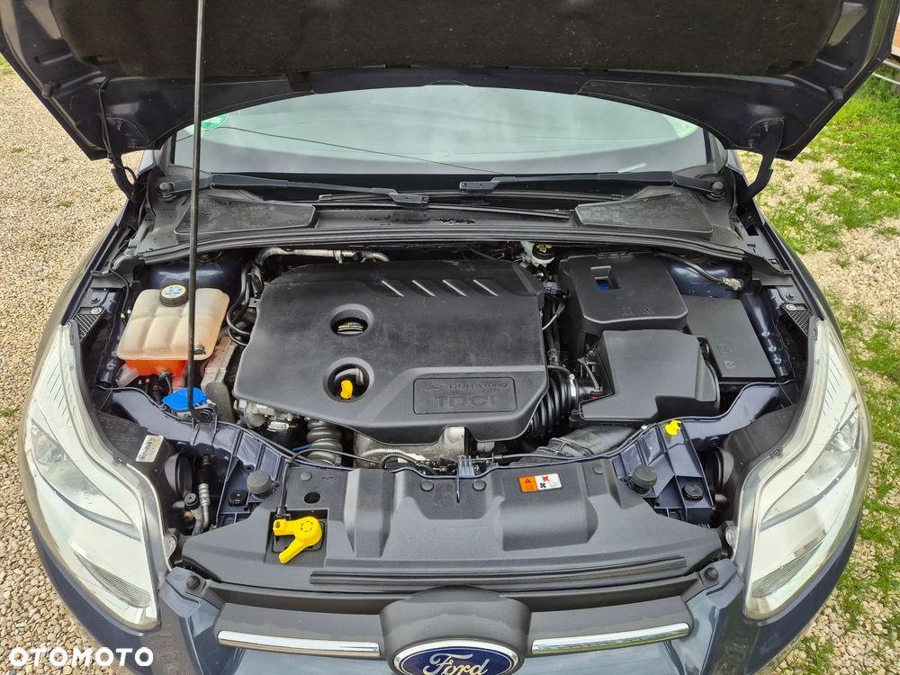 Ford Focus - 19