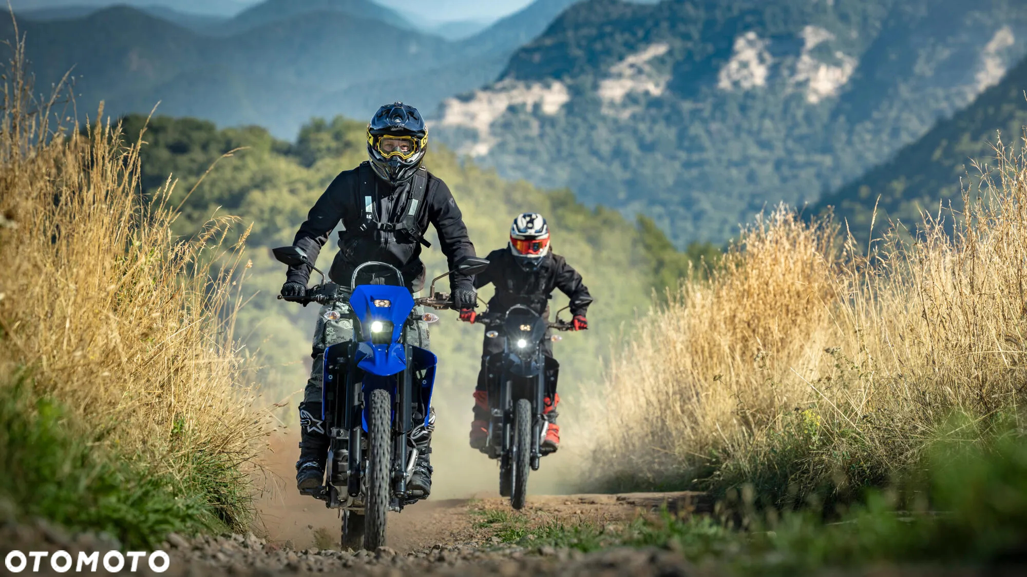 Yamaha WR