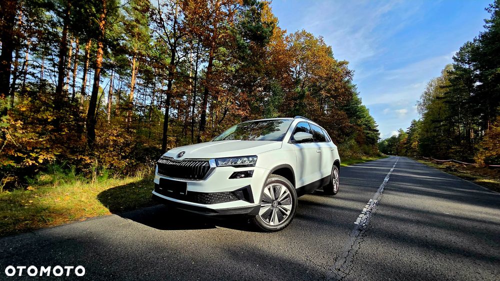 Skoda Karoq 2.0 TDI SCR 4x2 Sportline - 34