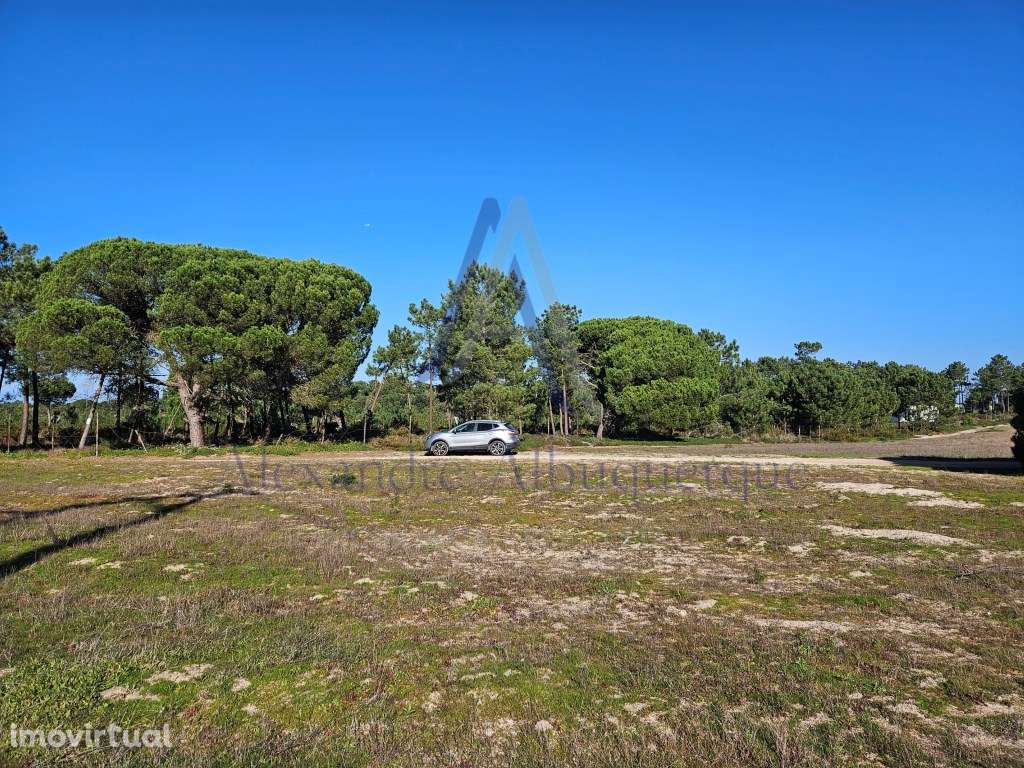 Terreno Rústico à Venda - 824 m² | Próximo das Praias do Meco - Grande imagem: 3/4