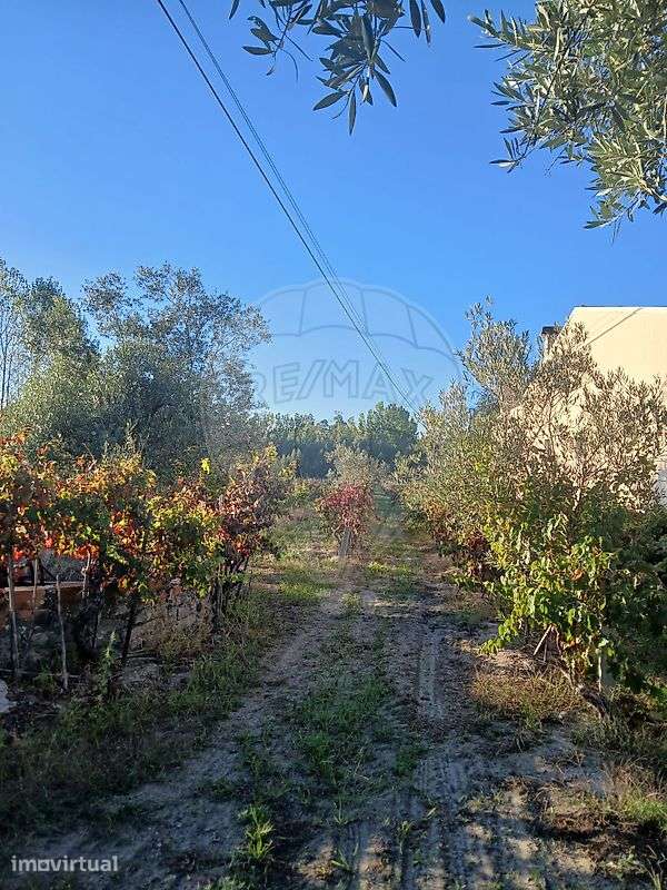 Terreno  para venda - Grande imagem: 5/7