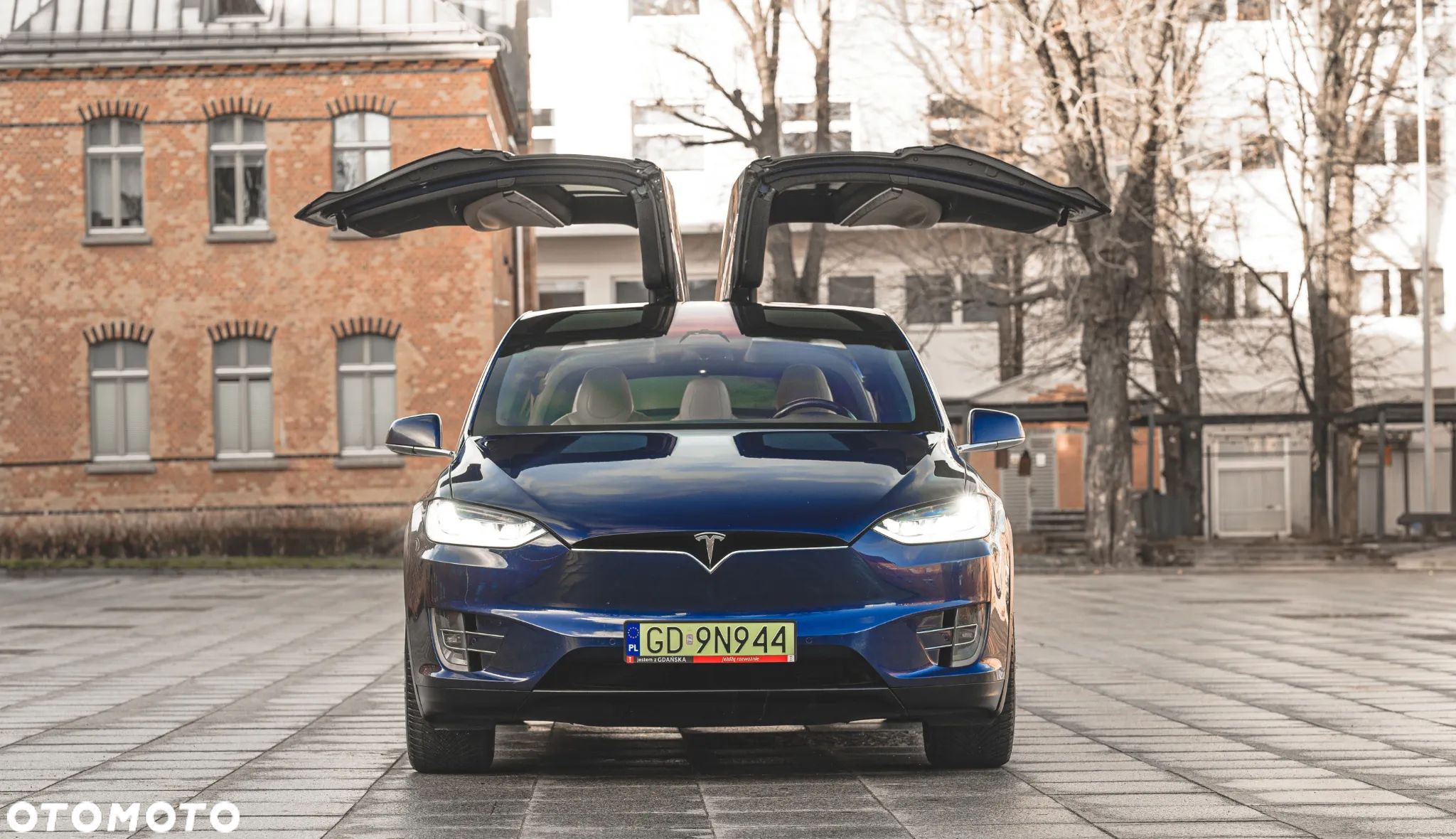 Tesla Model X Performance - 1