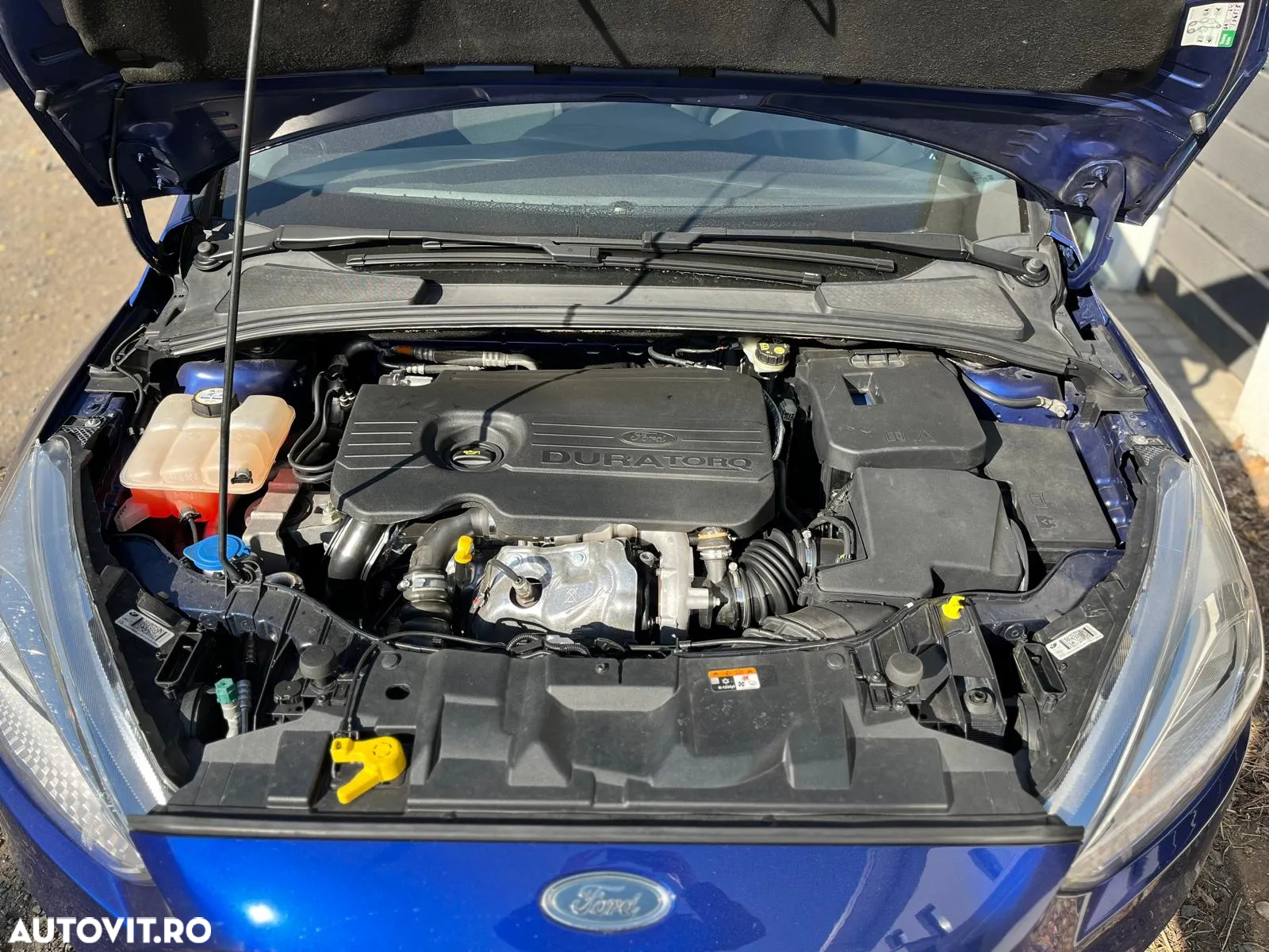 Ford Focus - 8