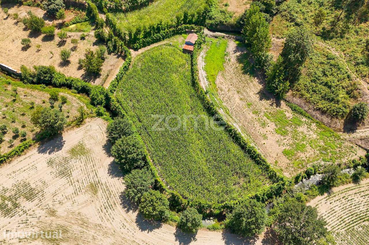 Terreno, 2 386 m², São Gens - Grande imagem: 3/30