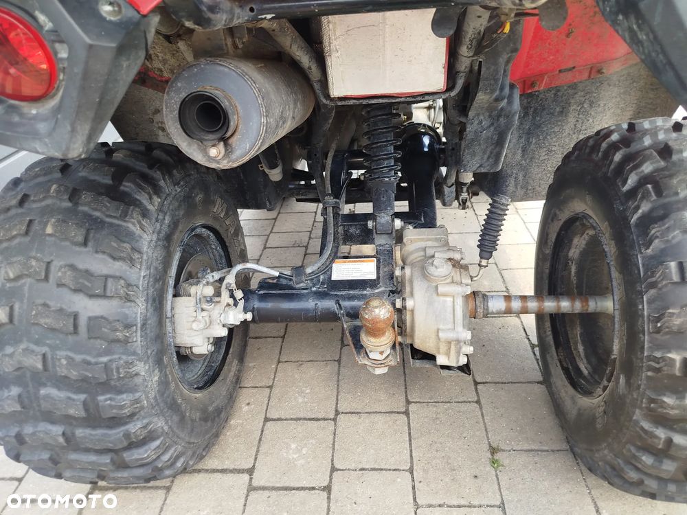 Kawasaki Brute Force - 9
