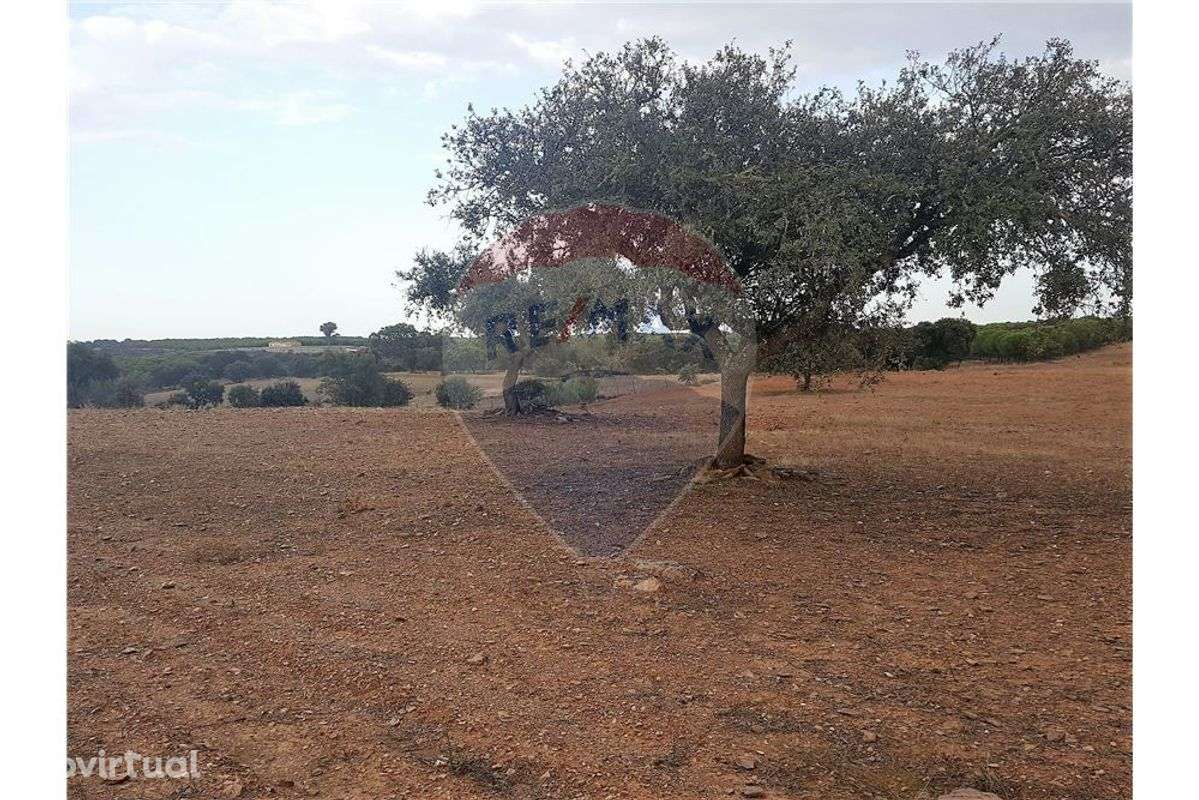 TERRENO 3 HA EM MOURÃO - Grande imagem: 3/6