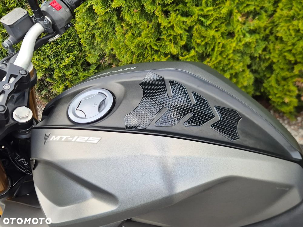 Yamaha MT - 13